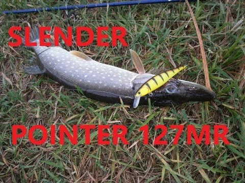Видео: Загляни в мою коробку! LUCKY CRAFT SLENDER POINTER 127MR