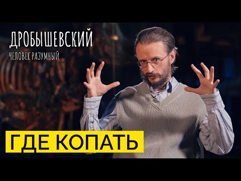Видео: Как археологи находят места для раскопок // Дробышевский. Человек разумный