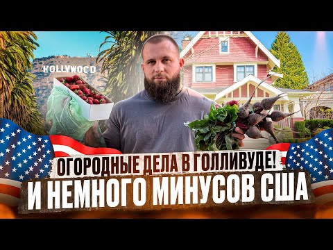 Видео: США! Фермерский Рынок | Аллея Звезд | И Немного Минусов Америки!