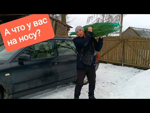 Видео: Из города в деревню привезли новогоднее настроение. Делаем проводку в теплице
