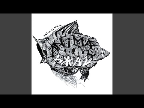 Видео: Аравика