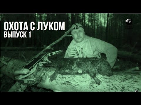 Видео: Охота с луком // Выпуск 1