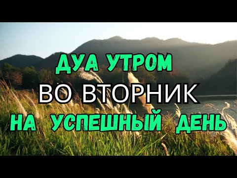 Видео: ДУА УТРОМ ВО ВТОРНИК САМЫЙ МОЩНЫЙ СТАРТ ДНЯ!🤲🌞