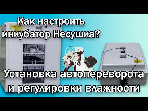 Видео: Инкубатор Несушка с регулировкой влажности. Установка устройства автопереворота.