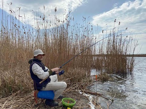 Видео: ПІВДЕННИЙ БУГ, Михайлівка. Плітка клює незважаючи на погоду.  Ловля плітки в березні на фідер.