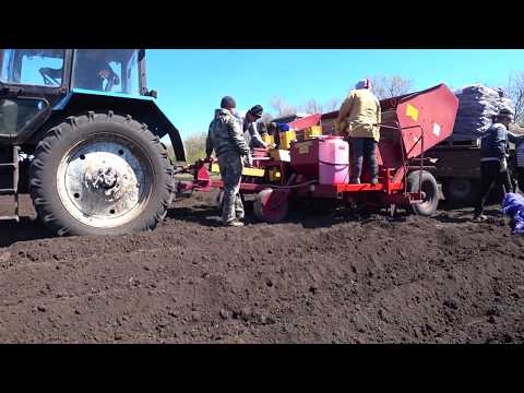 Видео: МТЗ-82 Сажаем картофель.Разорвало колесо на мойке!!!