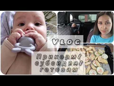 Видео: первый ПРИКОРМ🍼субсидия/👛ПОКУПКИ /готовим #будни  #влоги  #обзор #дерматит