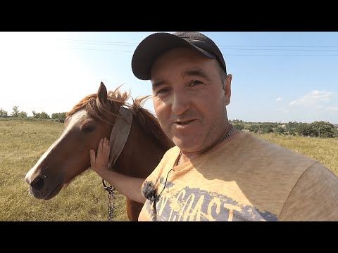 Видео: Поміняв Коня на Трактор