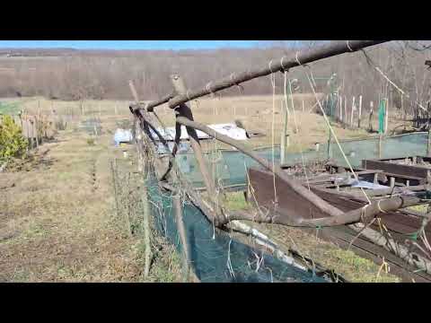 Видео: Дача 3 года спустя.