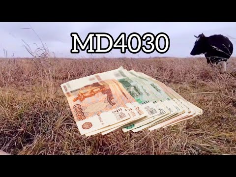 Видео: Металлокоп с MD4030.Сколько я заработал денег?