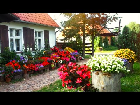 Видео: Декор приусадебного участка Идеи и вдохновение / Garden area Ideas for decor and design