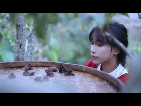 Видео: «Жизнь перца чили».Рыбья голова на пару с рубленым перцем чили и широкой лапшой из масла чили.Liziqi