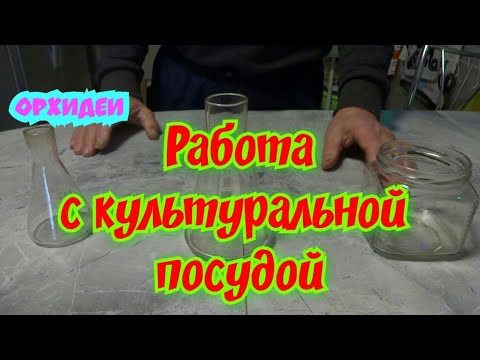 Видео: Орхидеи.
Работа с культуральной
Посудой.
