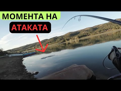 Видео: ТЕЖЪК ДЕН И ЩУКИ