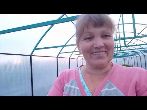 Видео: мульчирующая пленка и агроволокно для клубники