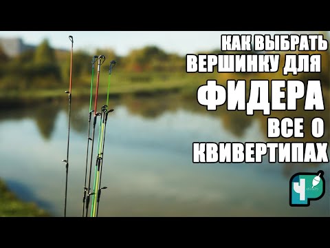 Видео: Как выбрать вершинку для Фидера? Все о квивертипах