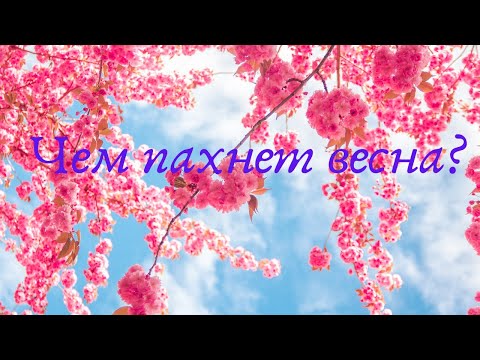 Видео: Ароматы весны  2020!