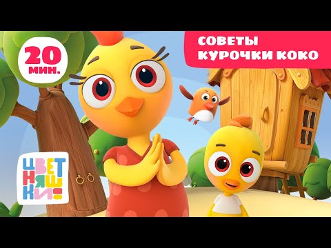 Видео: Цветняшки — Советы Курочки Коко — Сборник — Развивающий мультфильм