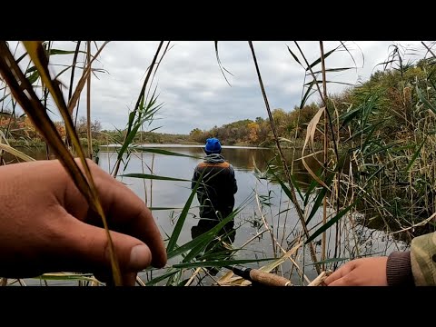 Видео: ЯКЩО ЦЕ ОКУНЬ? ТО ВІН ЗА КІЛО!!