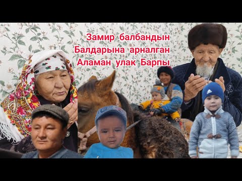 Видео: БАРПЫ Замир балбандын улагы биринчи болум