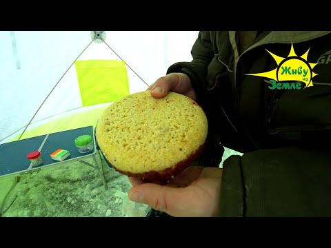 Видео: Почему ЭТУ ПРИКОРМКУ я не использовал раньше! Всё как на ДОНКИ. Лещ пришел! Зимняя Рыбалка.