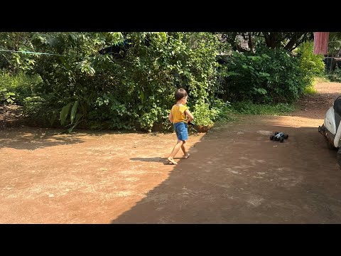 Видео: Гоа  дома