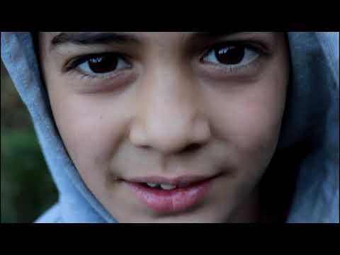 Видео: Сбор мандарин, Абхазия 2018