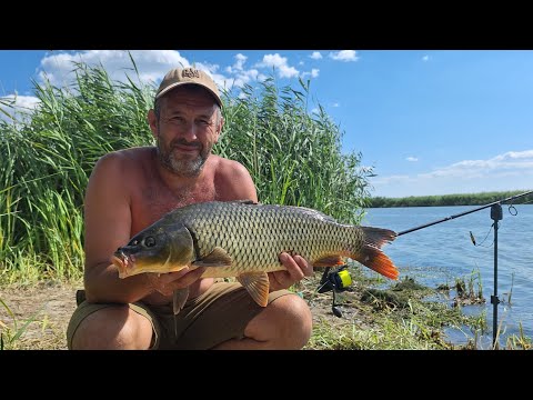 Видео: Сазан порадував. Рибалка на річці Дністер з ночівлею. Родинний відпочинок на природі