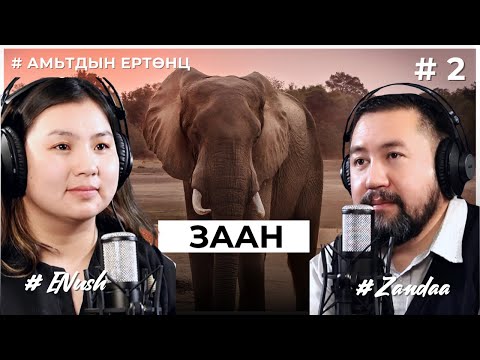 Видео: АМЬТДЫН ЕРТӨНЦ #2    Заан