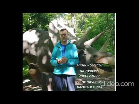 Видео: Мини - беседы на природе о дыхании и не только (часть пятая)