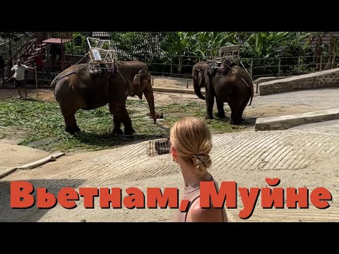 Видео: Вьетнам, Муйне. Стоит ли ехать, развод туристов, что посмотреть.