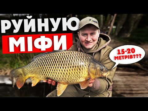 Видео: ФЛЕТ-ФІДЕР в 15-20 метрах від берегу?!  РУЙНУЄМО МІФИ РИБАЛОК   #риболовля #флетфідер