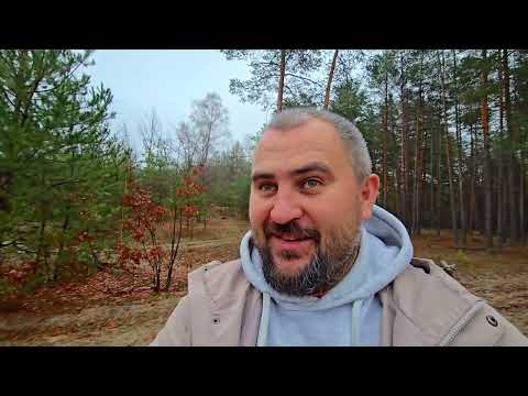 Видео: 10 ноября 2025 г.что нашли в этот раз? Разговоры по душам)