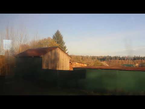 Видео: Отправляемся из деревни Малое Сытьково и едем по золотой осени на автобусе в Волоколамск