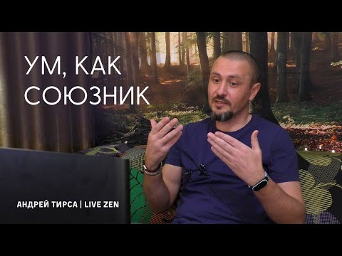 Видео: Андрей Тирса - Zen Talks - Ум, как союзник.