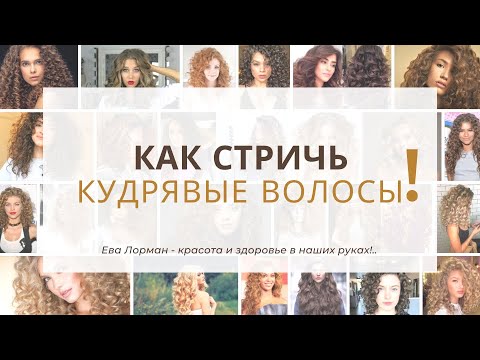 Видео: Как стричь кудрявые волосы! Ошибки с кудрявыми волосами! Ева Лорман