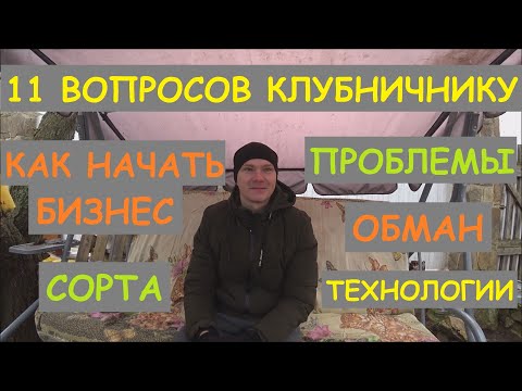 Видео: КЛУБНИКА🍓: ОБМАН, СОРТА, ПРОБЛЕМЫ, ТЕХНОЛОГИИ. КАК НАЧАТЬ БИЗНЕС НА КЛУБНИКЕ. ЛУЧШИЕ СОРТА КЛУБНИКИ🍓