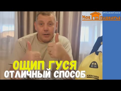 Видео: Как легко ощипать гуся с помощью парогениратора?! Отличный способ ! "Мое Подворье"