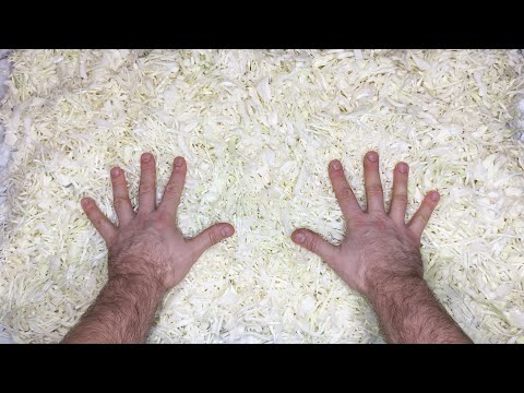 Видео: Ферментированная КАПУСТА. БЕЗ САХАРА! БЕЗ Соли! БЕЗ УКСУСА! Квашеная капуста.