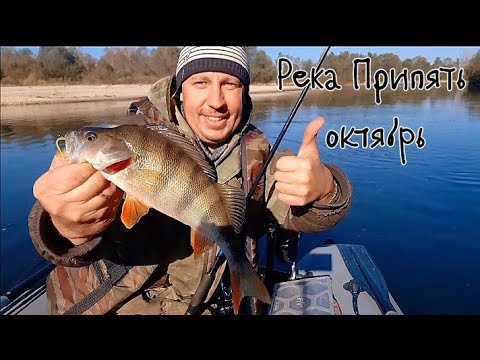 Видео: Река Припять.Джиг. Октябрь на реке красиво.