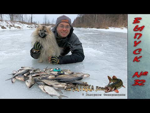 Видео: Ловля подлещика без насадки. Практика ловли с Валерием Сикиржицким. Выпуск 32