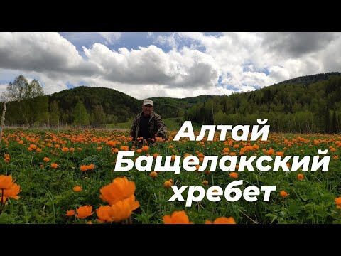 Видео: Алтай. Путешествие к озеру Бащелак Ч.1