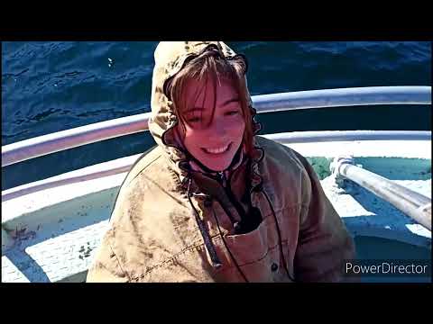 Видео: остров Завьялова.