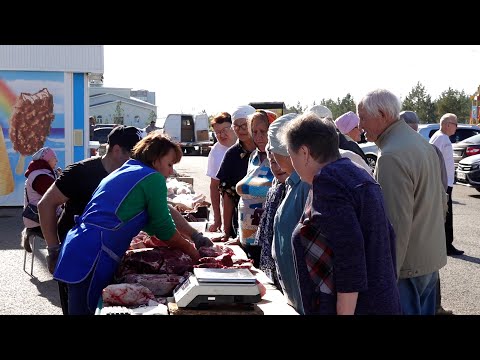 Видео: Азнакайда көзге авыл хуҗалыгы ярминкәләре старт алды