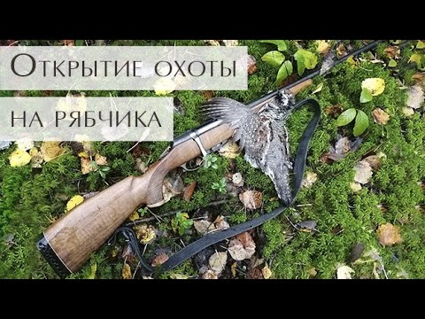 Видео: Охота на рябчика с мц 20-01