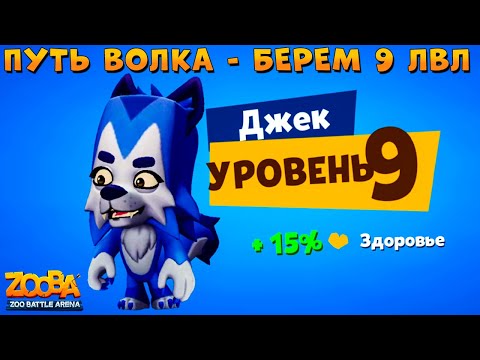 Видео: ПУТЬ ВОЛКА ДЖЕКА - КАЧАЕМ 9 УРОВЕНЬ В ИГРЕ ZOOBA