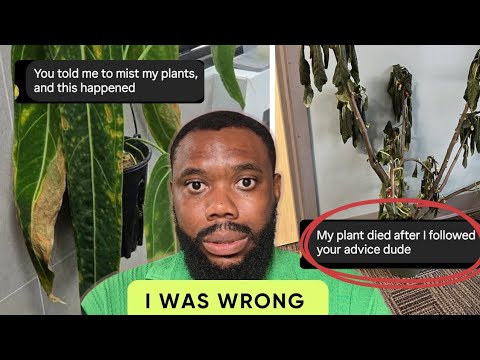 Видео: Прости меня… 5 советов о растениях, которыми я бы никогда не поделился
