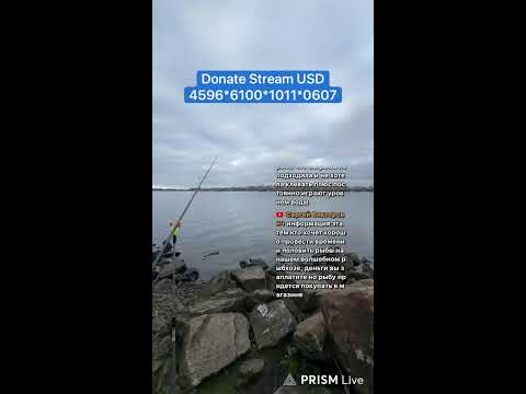 Видео: Прямая трансляция Спортивная Рыбалка 🎣 в Киеве