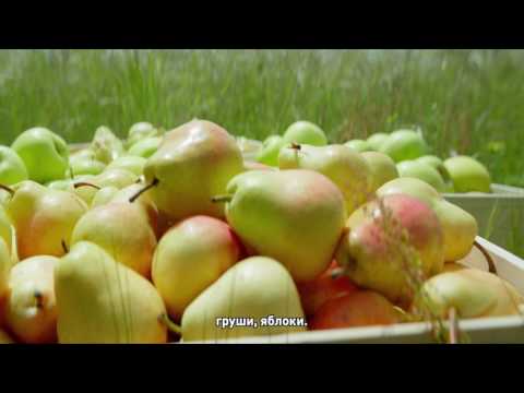 Видео: Молочная ФрутоНяня