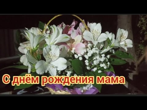 Видео: 12 сентября 2025 г.